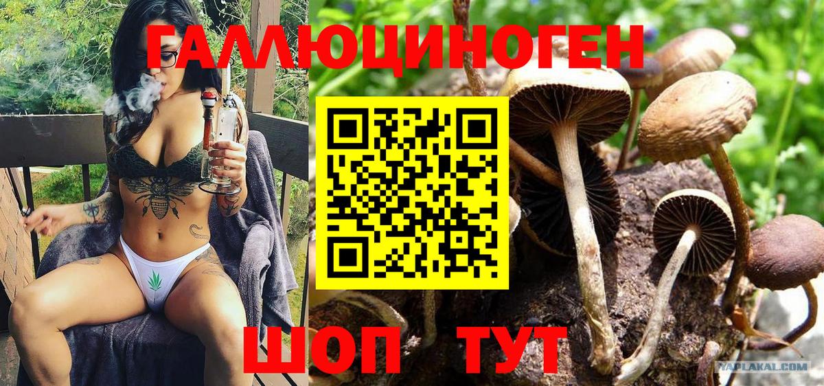 Галлюциногенные грибы MAGIC MUSHROOMS Шебекино